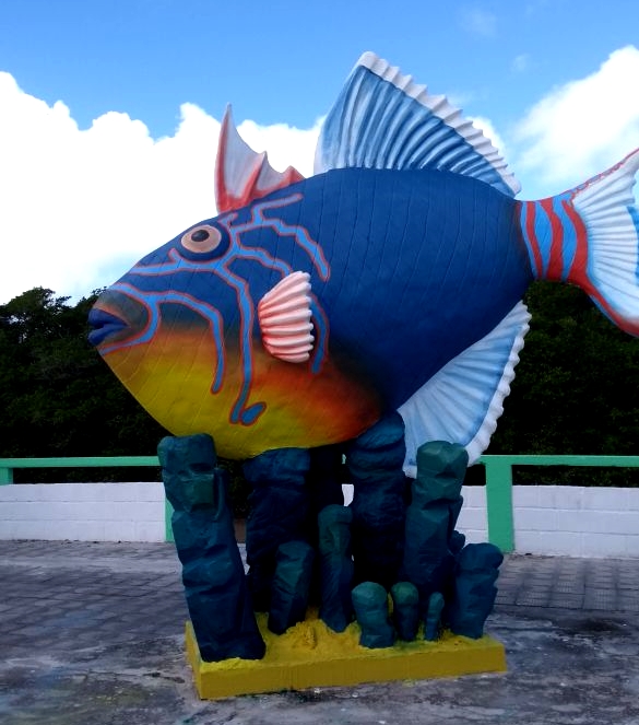 22ª edição do Arraiá do Peroá em Mucuri