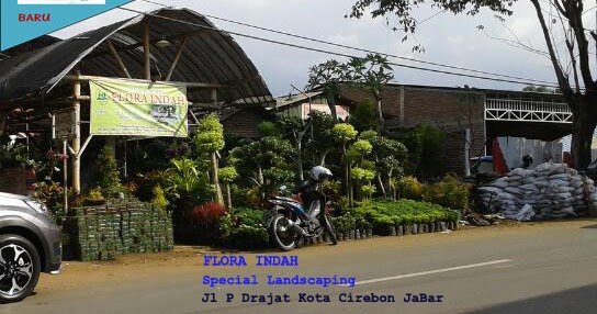 Jasa Dekorasi  Taman  Lanskap Flora Indah  Cirebon 