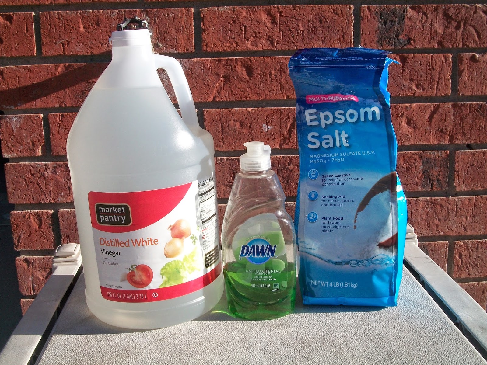 Mom Knows Best Easy To Make All Natural Homemade Weed Killer Spray That Works In A Day,Iguana Pet Food