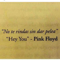 imagenes con frases de motivacion frases de motivacion