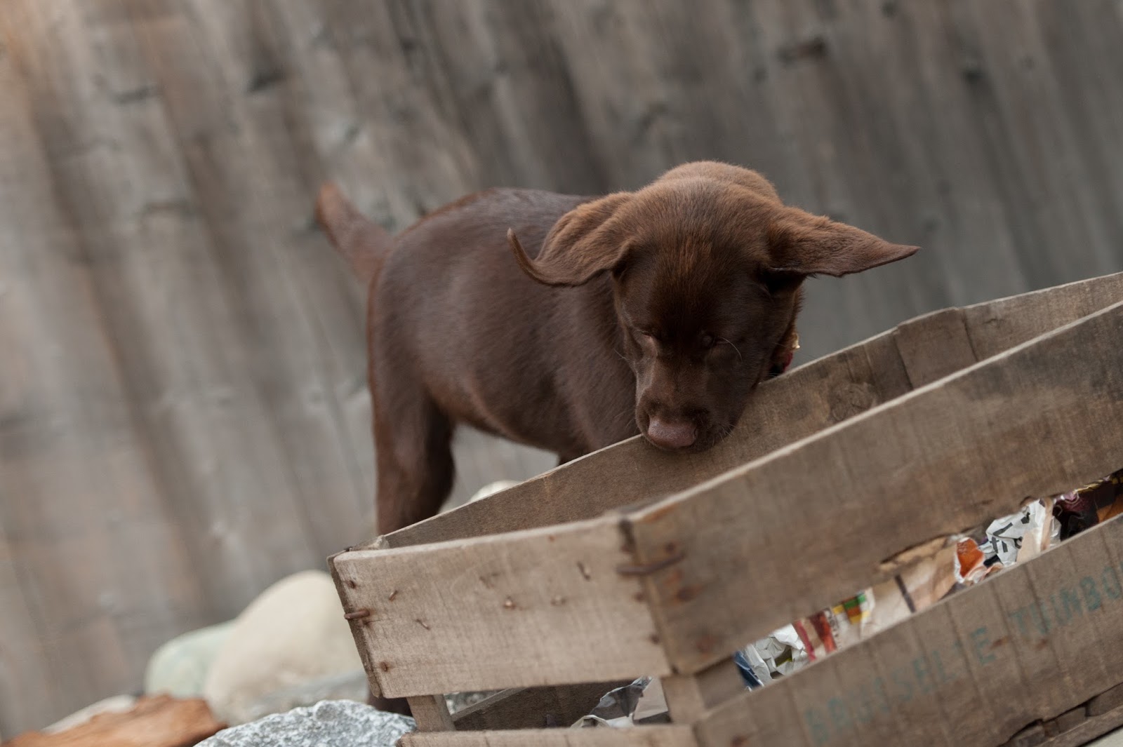 wanderrute März 2016