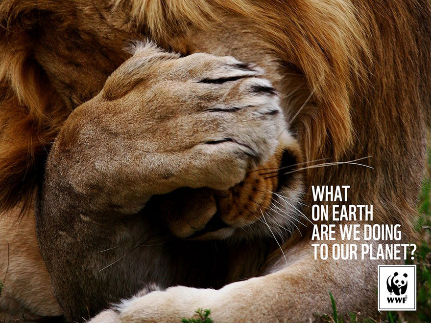 WWF: What On Earth Are We Doing To Our Planet?