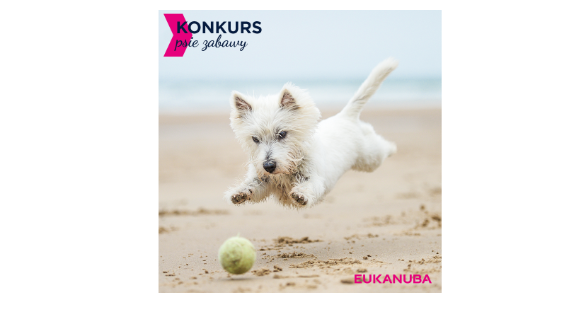 Wygraj voucher o wartości 150 zł na zakup wybranej karmy EUKANUBA Konkurs