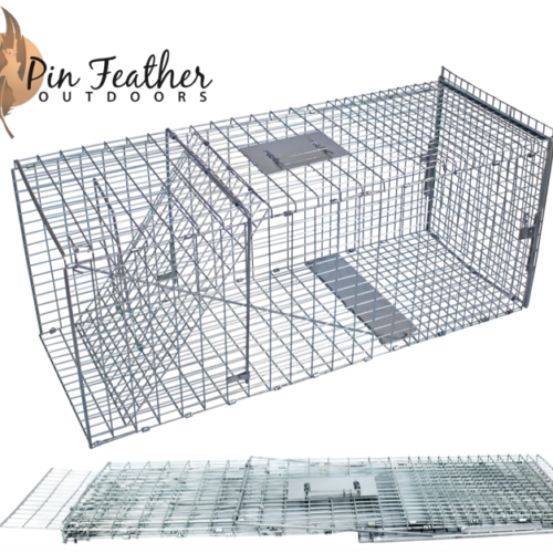 How to best set your fox traps? Traps For Cats and Foxes