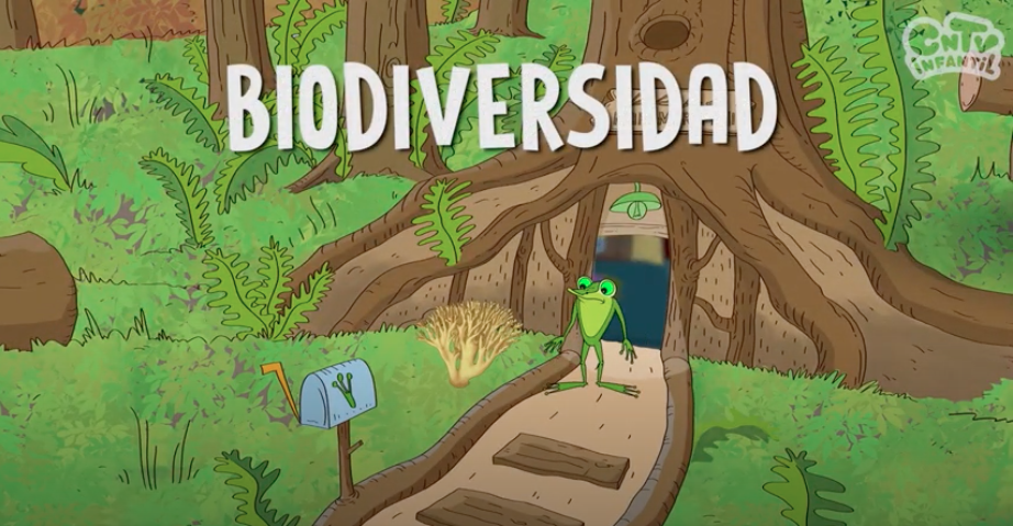 ¿Qué es  la biodiversidad? Mira este video.