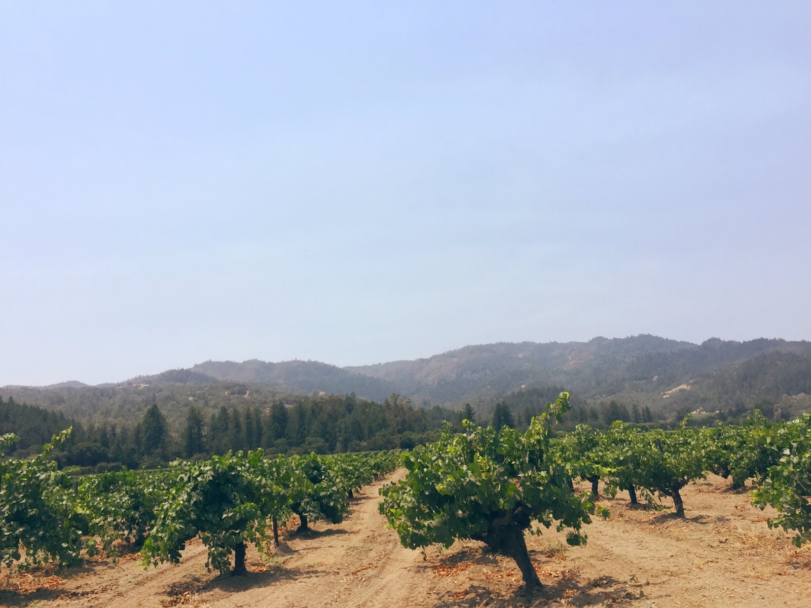 Travel // Part 2: Napa Valley – The World According To Cathers