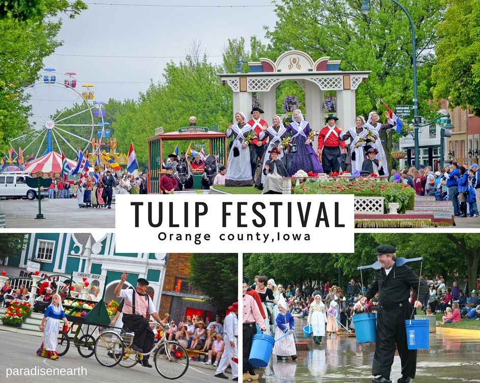 Best places to enjoy Tulip Festival in USA