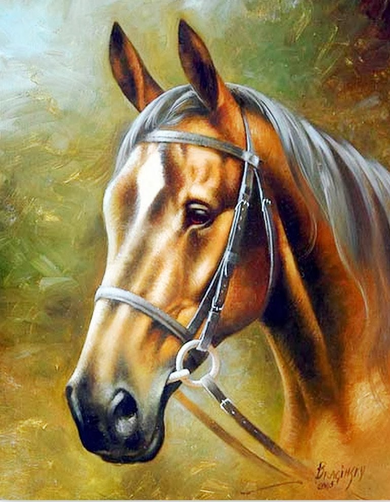 cuadros de caballos al oleo cuadros modernos pinturas y dibujos caballos cuadros cuadros de caballos al oleo cuadros modernos pinturas y dibujos caballos cuadros