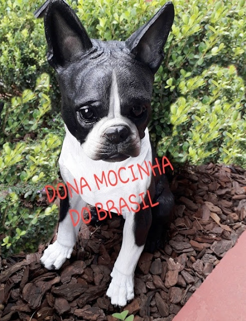 CACHORRO BOSTON TERRIER DE RESINA