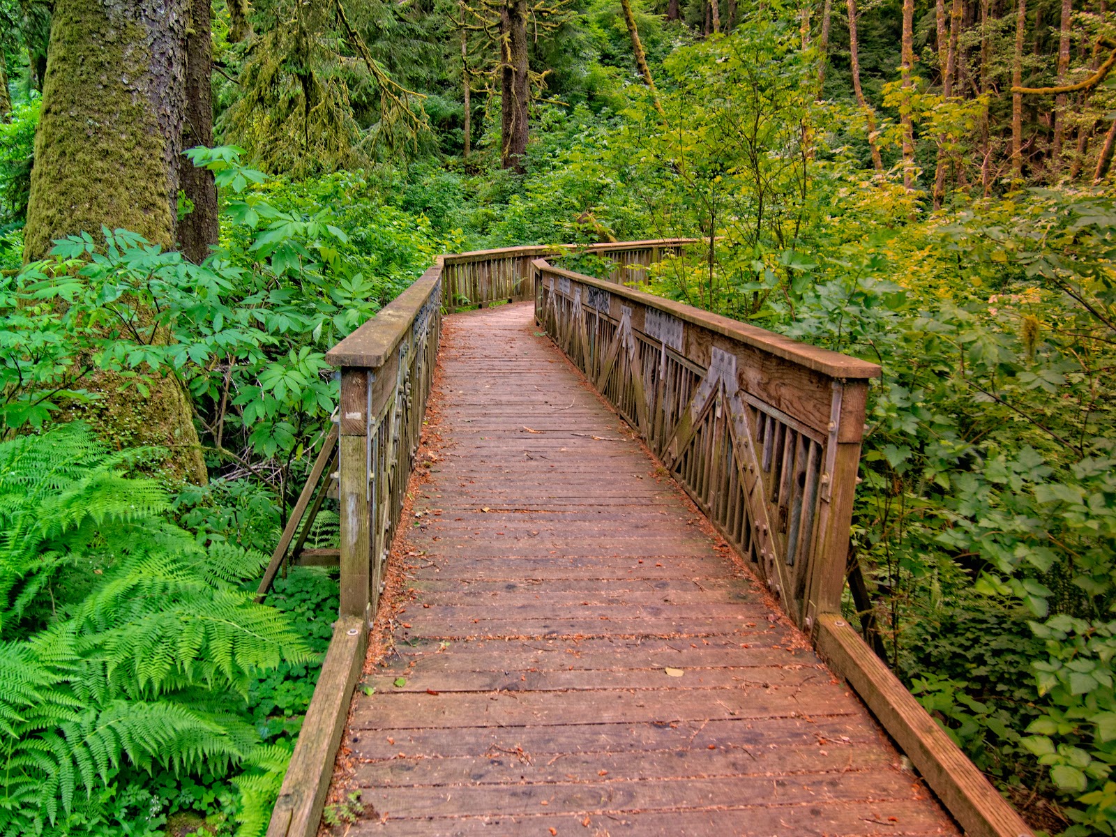 Thom Zehrfeld Photography Ocean To Bay Trail Newport Oregon