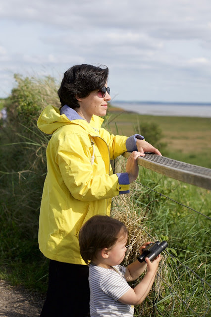 Newport Wetlands