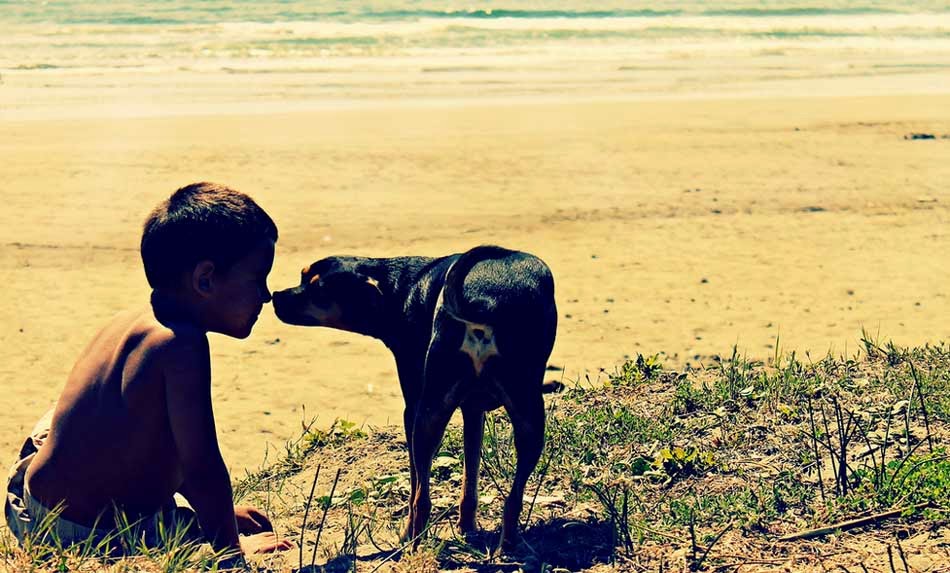 Child & Dog Love at Beach