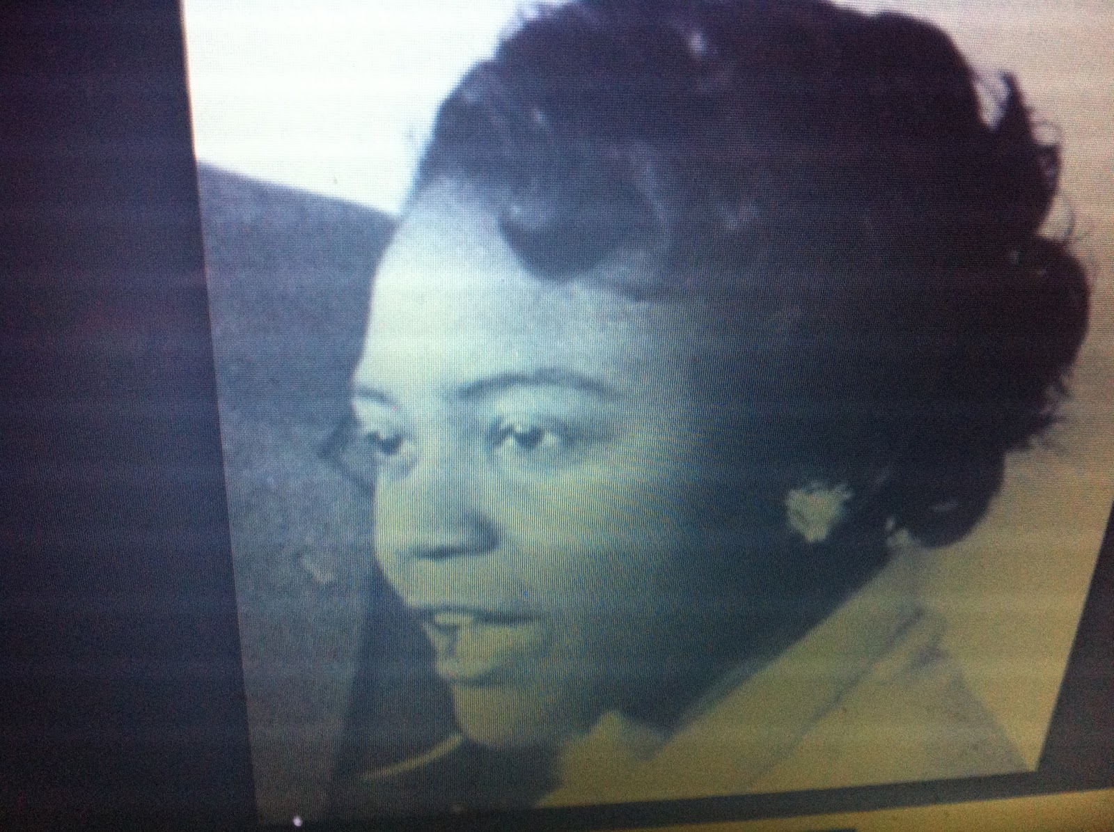 THE BLACK SOCIAL HISTORY BLACK SOCIAL HISTORY AFRICAN AMERICAN