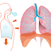 Sistema Respiratório (Exercícios)