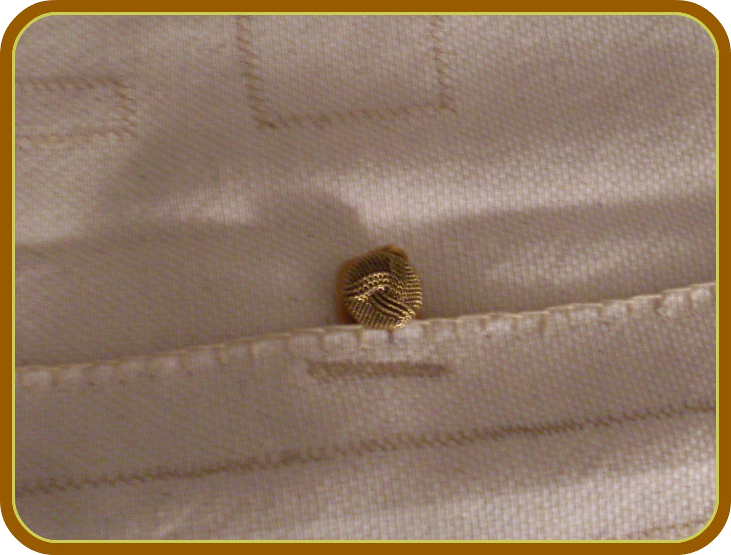 Tus Manos y las Mias: 1/8/11 - 1/9/11