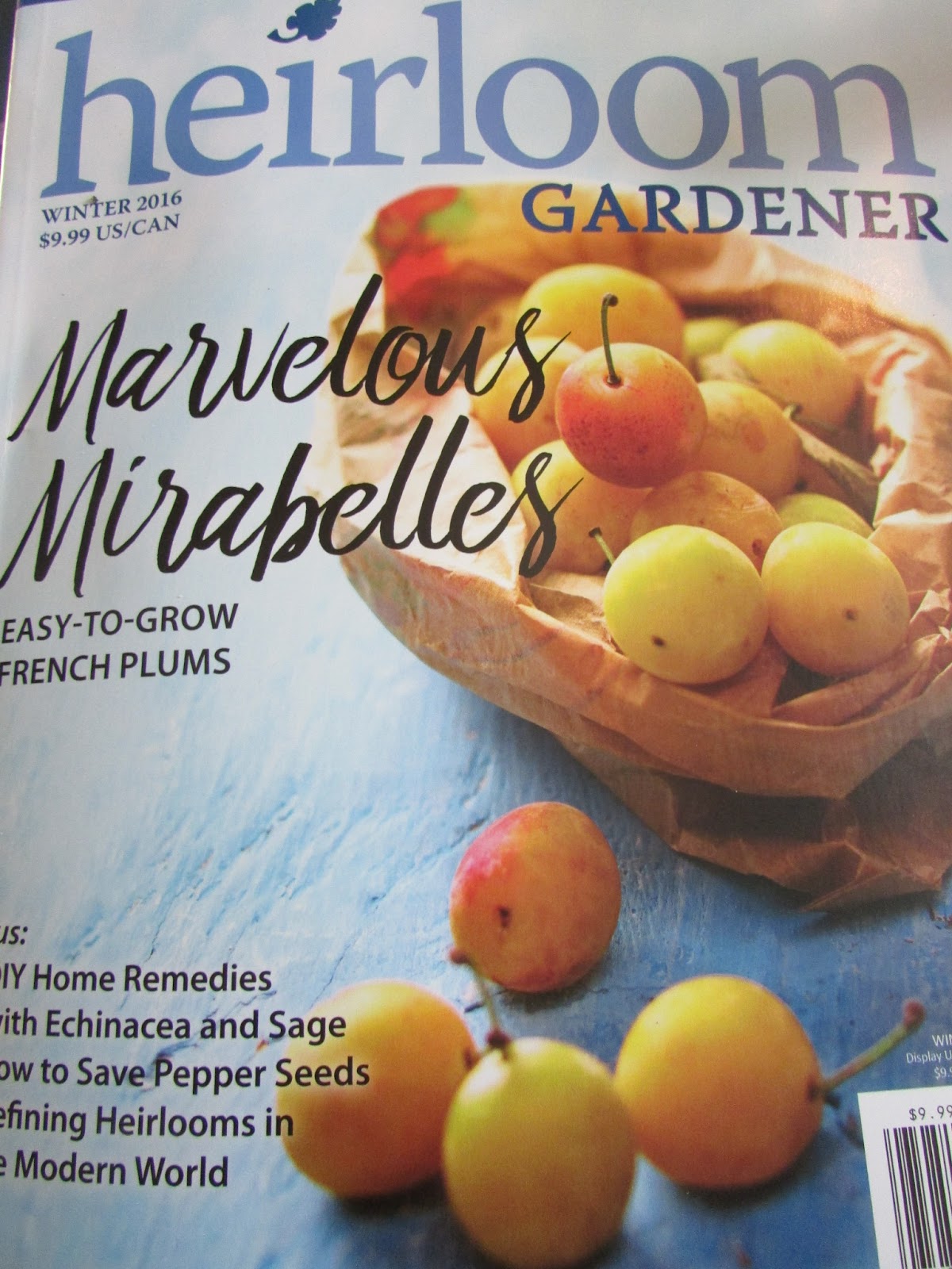 Sweete Felicity Heirloom Gardener Magazine