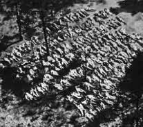 Katyn Massaacre WW2 -aerial photo of mass graves -   Polish officers executed by Soviet NKVD