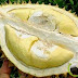 10 Manfaat Besar Buah Durian Bagi Tubuh