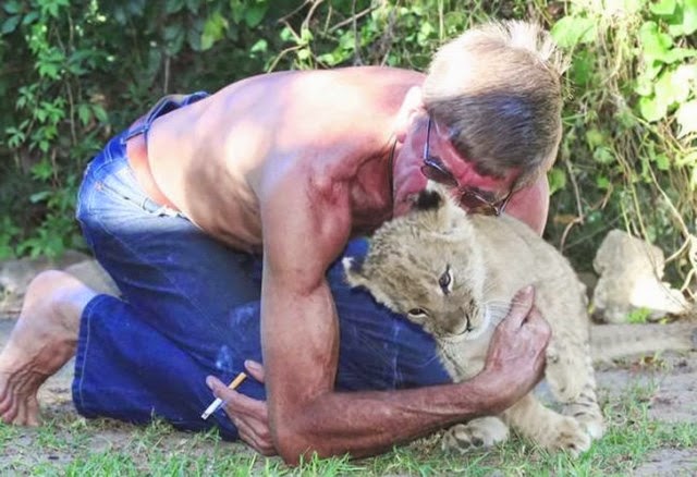 amistad entre un león y la persona que lo salvó. 