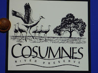 Cosumnes River Preserve logo