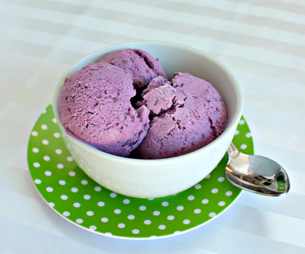 easy blueberry ice cream