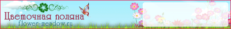 flower-meadow flower-meadow