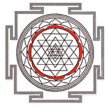 Eight Petals Eight Petals