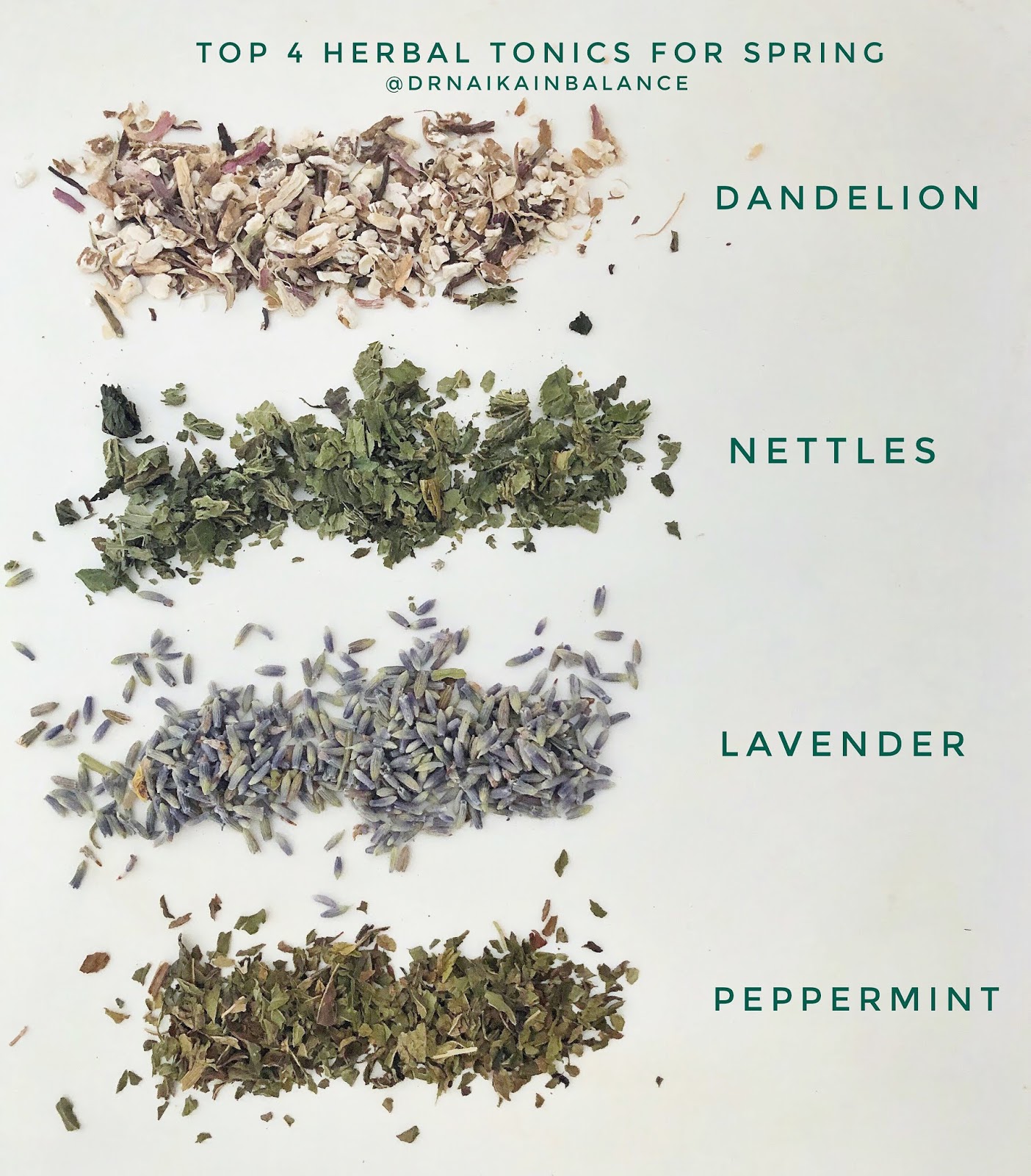 Top 4 Herbal Tonics for Spring