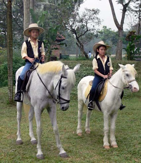 Wisata Berkuda Yang Paling Unik Di Depok Limo - Artikel ...