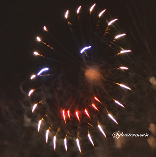 Fireworks photo by Sylvestermouse (cynthia sylvestermouse)