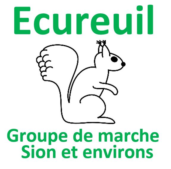Ecureuil - Groupe de marche Sion et environs
