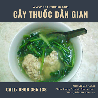 ăn óc heo chữa bệnh rối loạn tiền đình