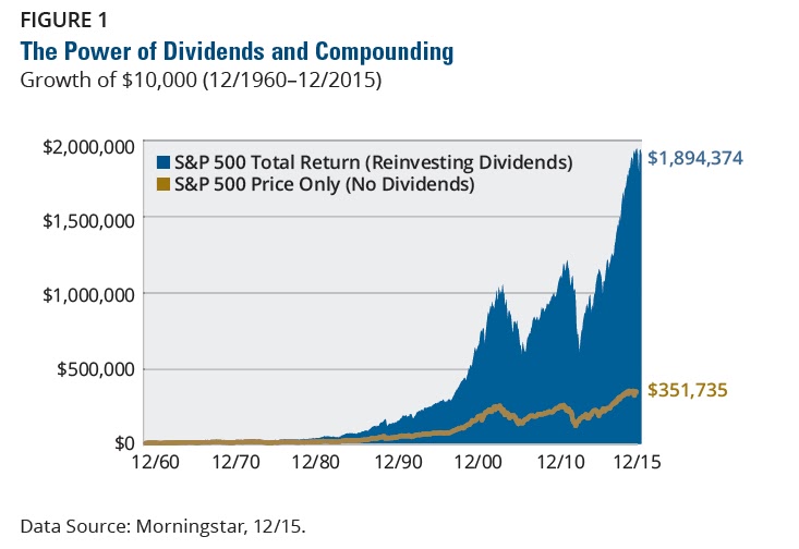 The Power of Dividend