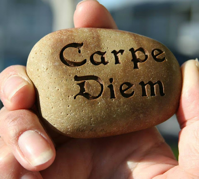 Des Images Qui Racontent Une Histoire Carpe Diem