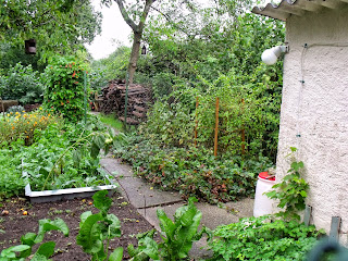 Gemüsegarten (c) by Joachim Wenk Gemüsegarten (c) by Joachim Wenk