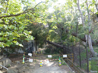 大阪城公園 大阪城公園