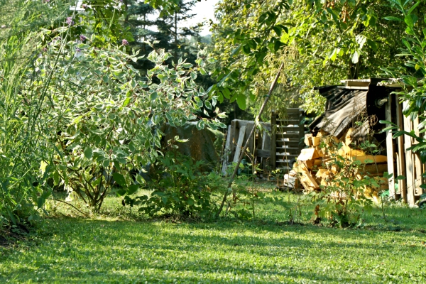 Die Gartenbotschafterin VISION "UNTER DEM NUSSBAUM"