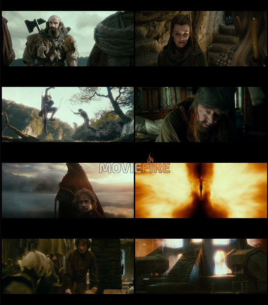 The Hobbit: The Desolation of Smaug (2013) 1080p