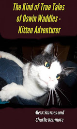 Oswin Waddles-Kitten Adventurer