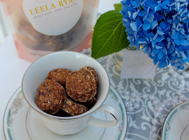 Leela Ryan Wild Berry Scone Organic Dog Treats Giveaway