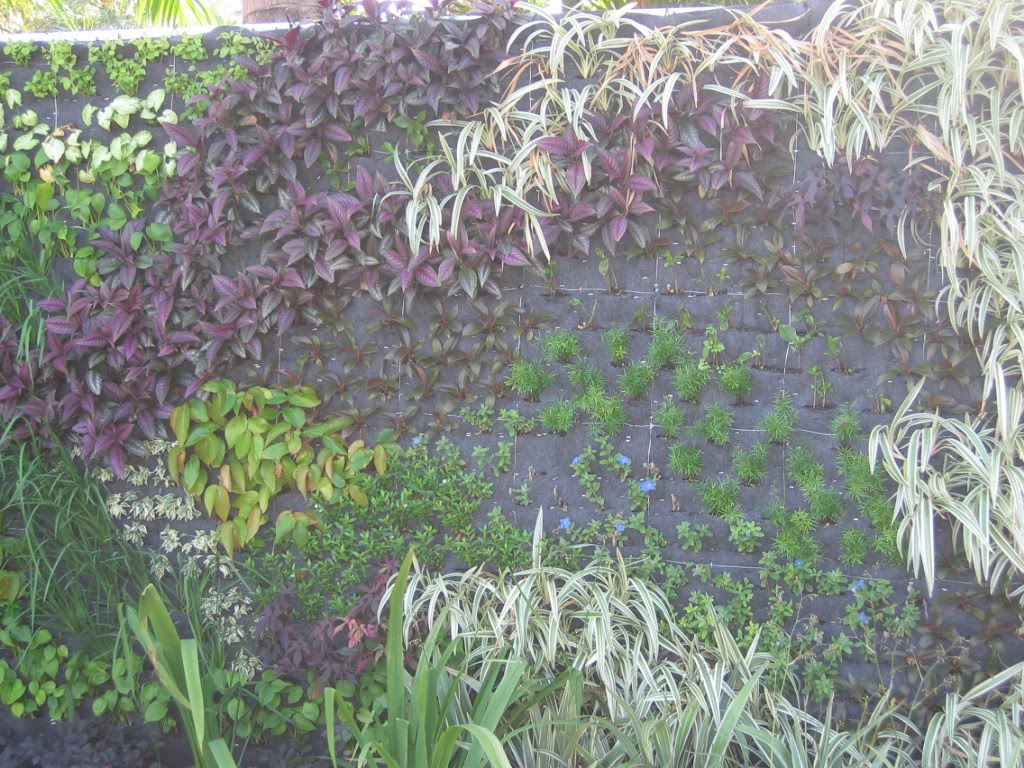 Decor Dreams & Schemes Living Wall Hanging Garden