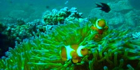 Pulau Lemukutan Tempat Wisata Paling Populer di Kalimantan Barat misteri pulau lemukutan travel pulau lemukutan penginapan pulau lemukutan video pulau lemukutan info pulau lemukutan paket pulau lemukutan