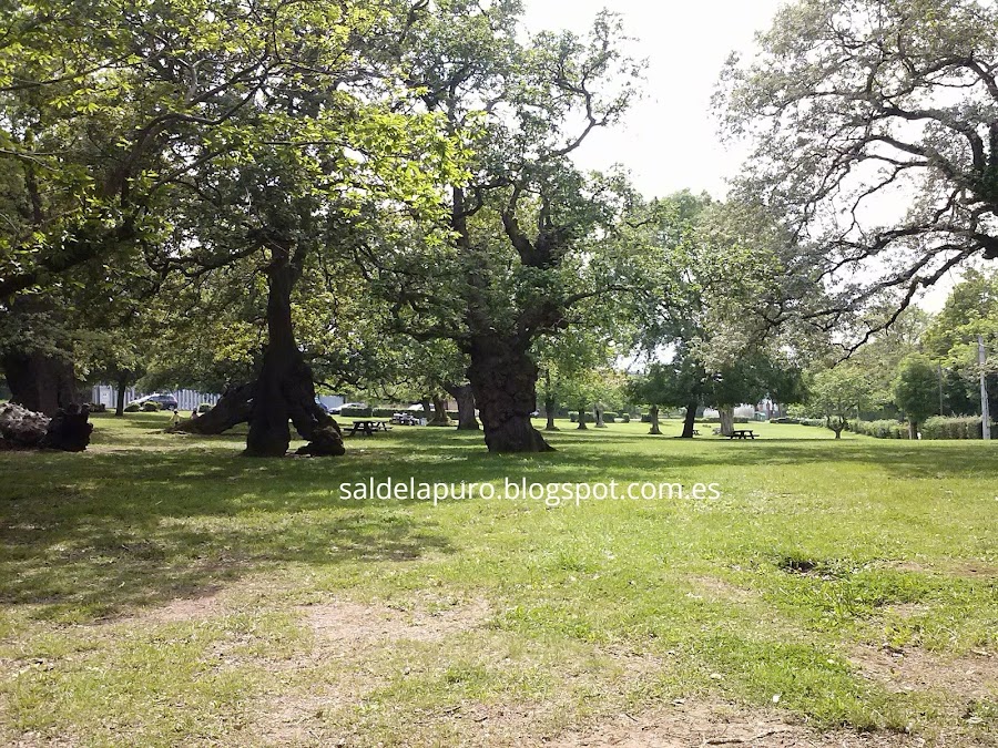 senda-peñafrancia-gijón