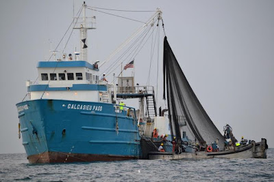 An Omega Protein processing ship photo credit: Jetski Brian