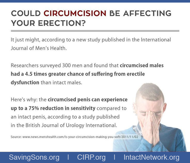 circumcision penis erection Circumcision penis erection