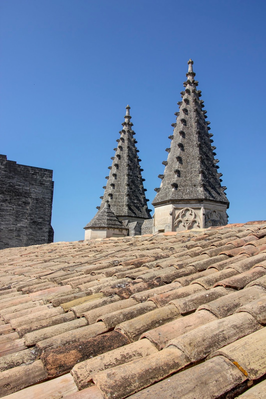 Le Palais des Papes - Avignon