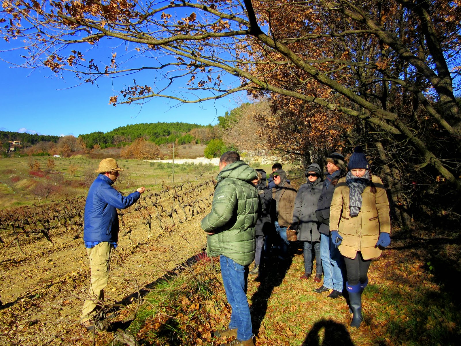 Cuisine de Provence Les Pastras Truffle Hunting in Provence