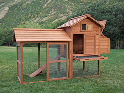 chicken coop coops build backyard building easy chickens nest own houses prepper plans diy steps step outdoor gallinero mismo pallets