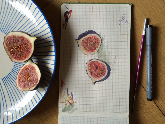 Sonia Brittain, Sketchbooks, figs, food illustration, Sketchbook Conversations, My Giant Strawberry