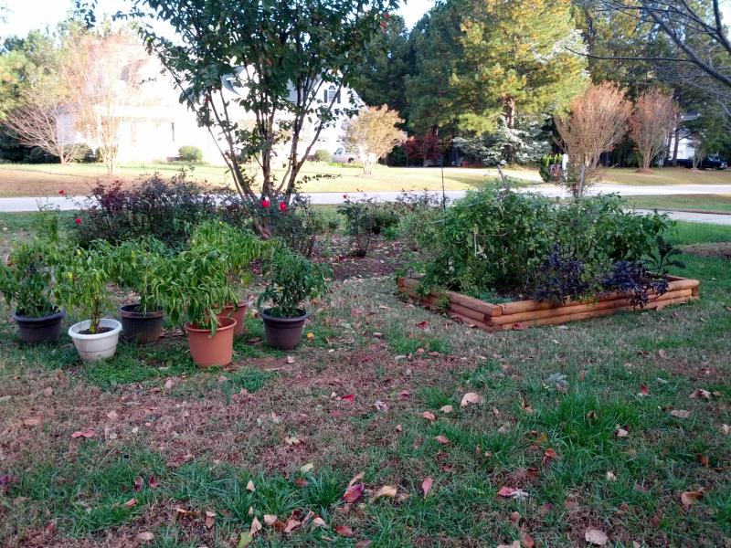 Raised Bed Front Yard Landscaping